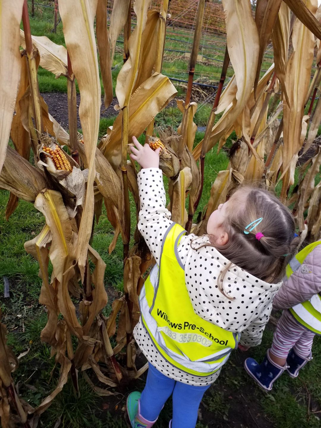 Garson'S Farm - Hammersmith Nursery