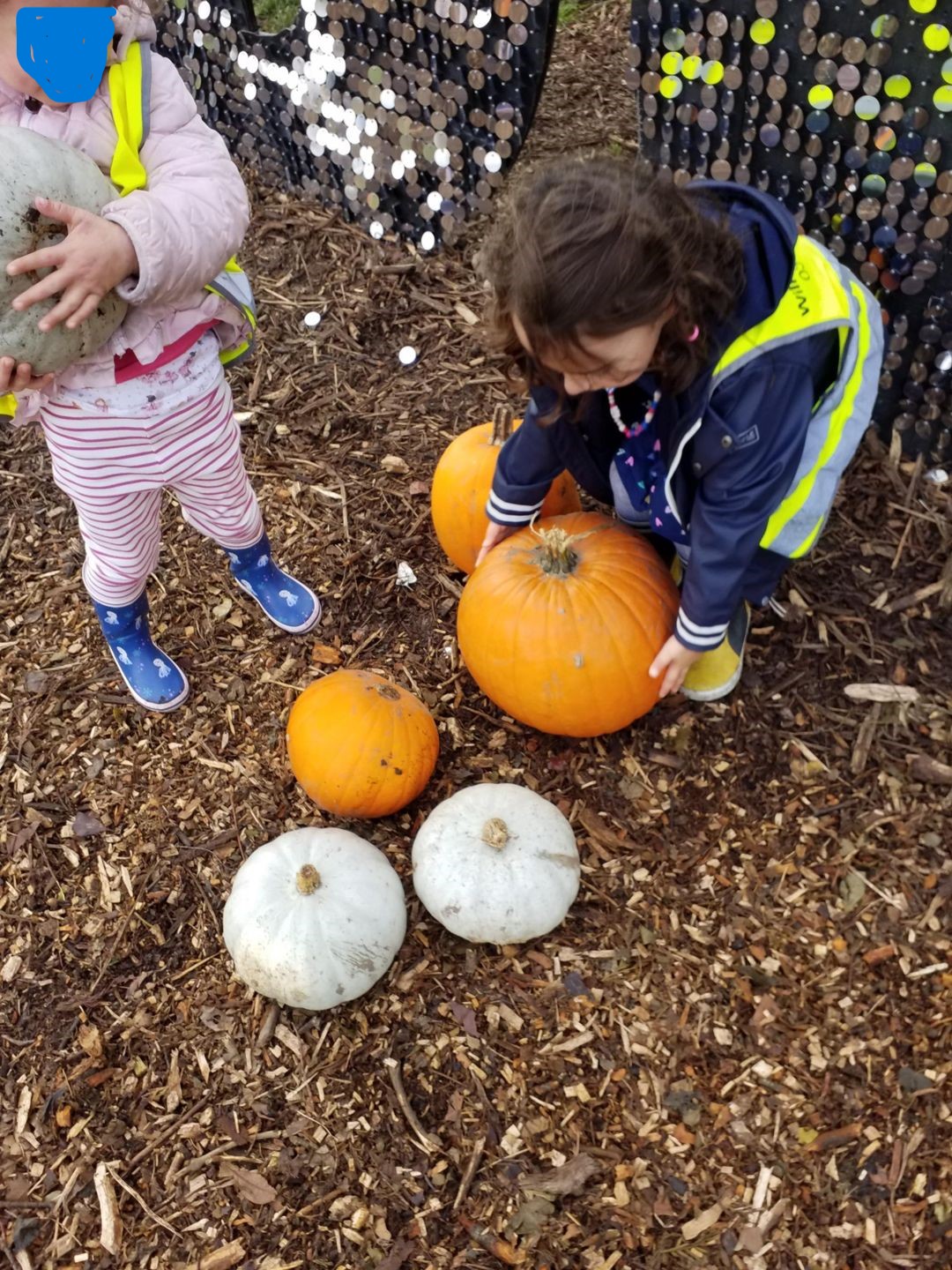 Garson'S Farm - Hammersmith Nursery