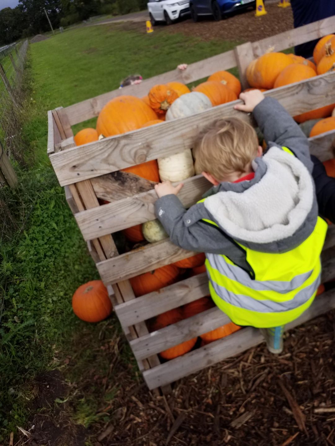 Garson'S Farm - Hammersmith Nursery