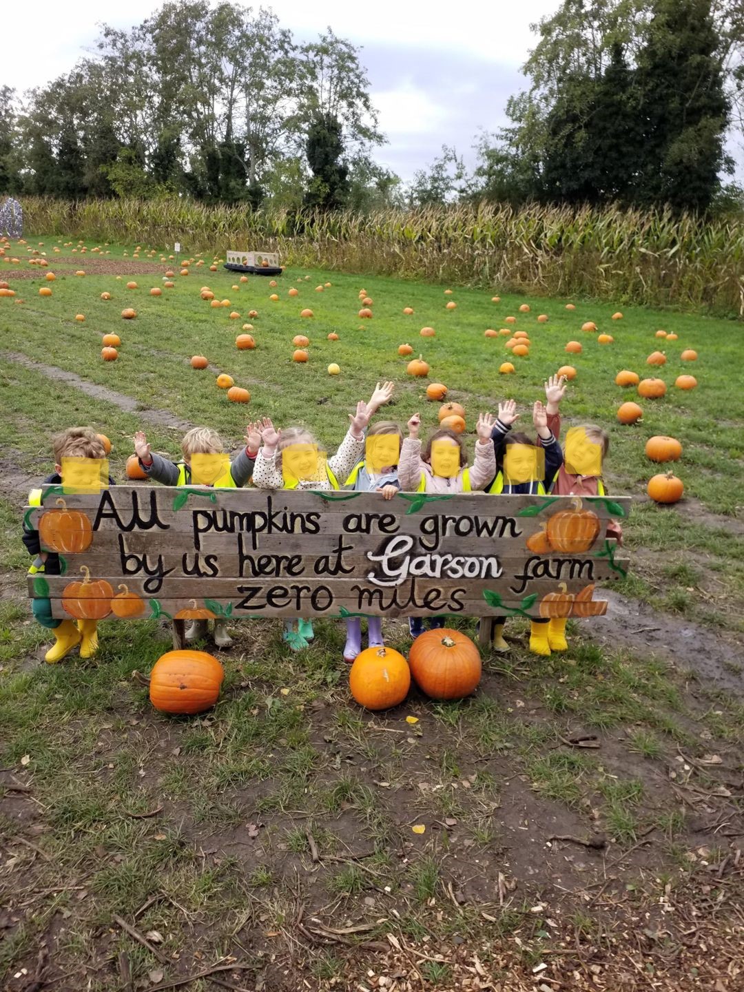 Garson'S Farm - Hammersmith Nursery