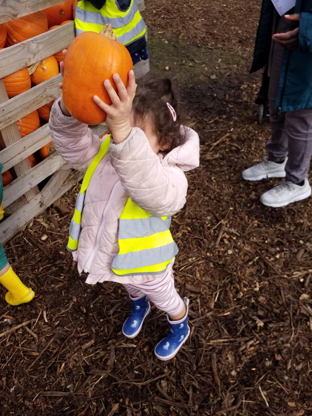 Garson'S Farm - Hammersmith Nursery