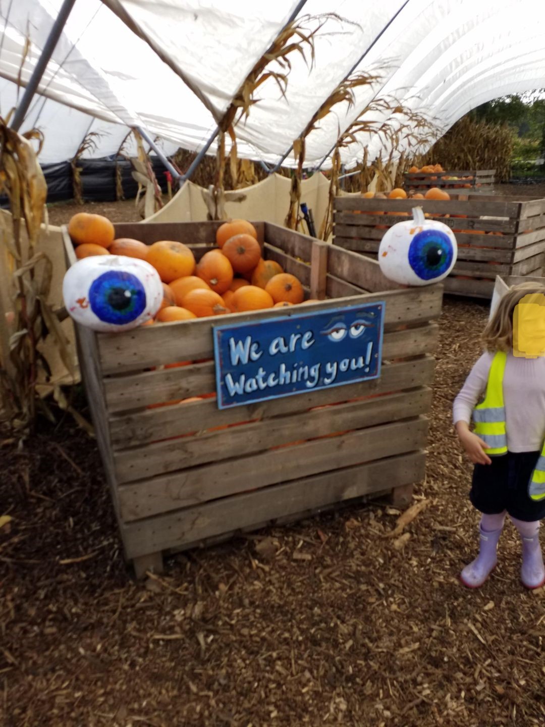 Garson'S Farm - Hammersmith Nursery