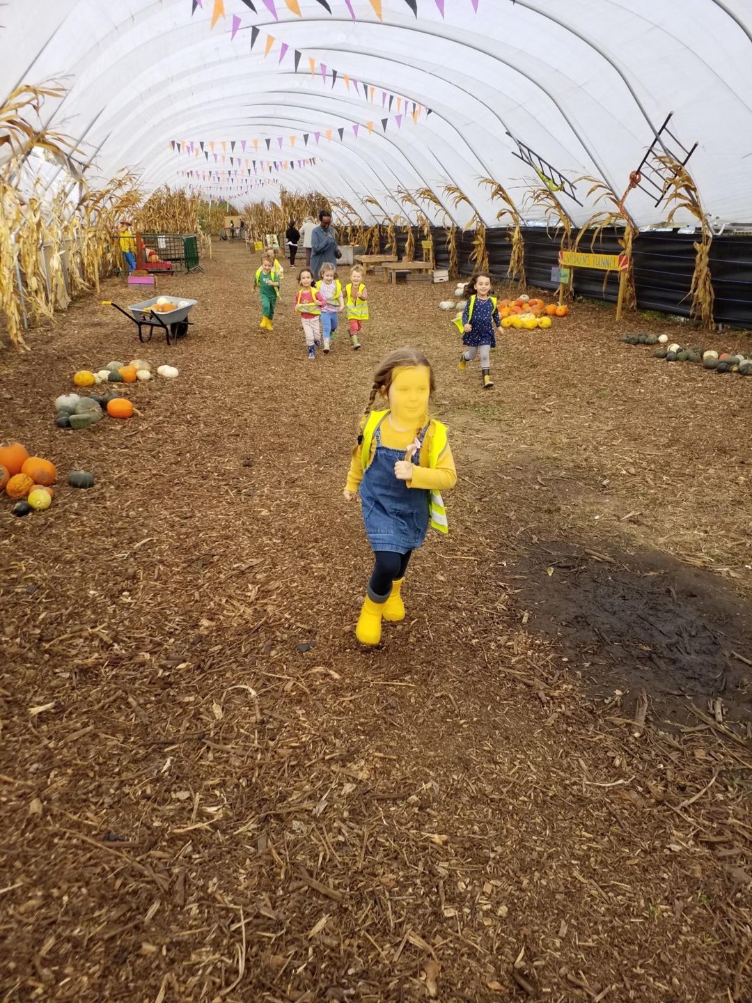 Garson'S Farm - Hammersmith Nursery