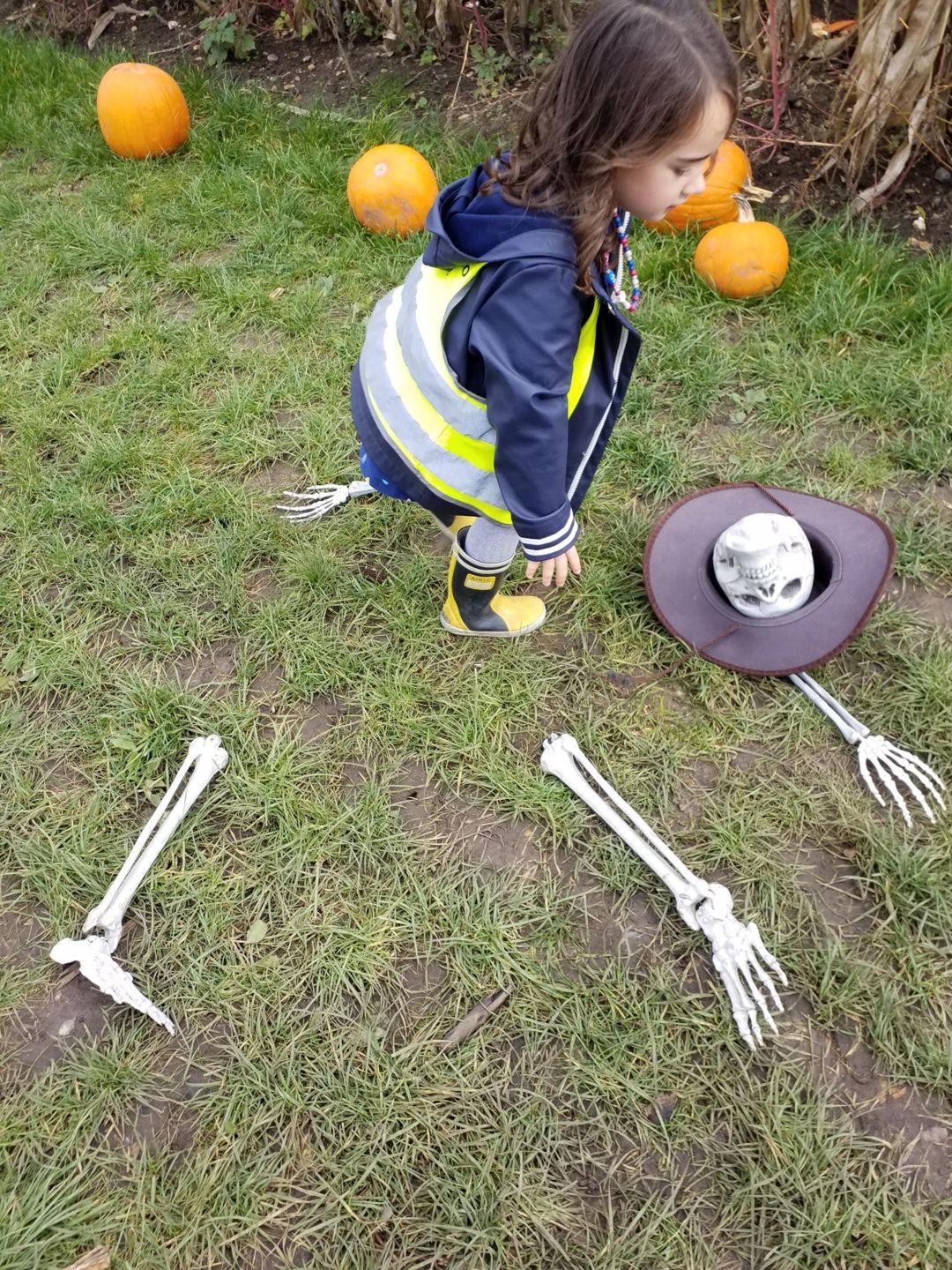 Garson'S Farm - Hammersmith Nursery