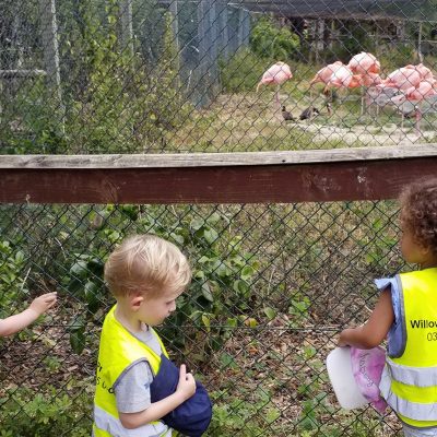 Willows Pre-School Hammersmith visit Hanwell Zoo