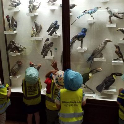 Fireflies Trip to the Horniman Museum